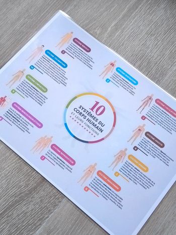 Fiche A4 des 10 système du corps humain et leurs fonctions