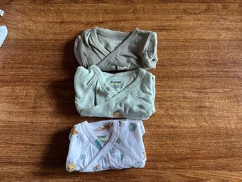 Lot 3 bodies