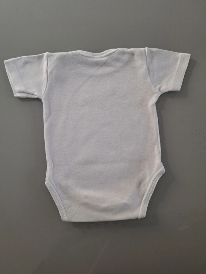 Bodie 1 mois - photo numéro 2