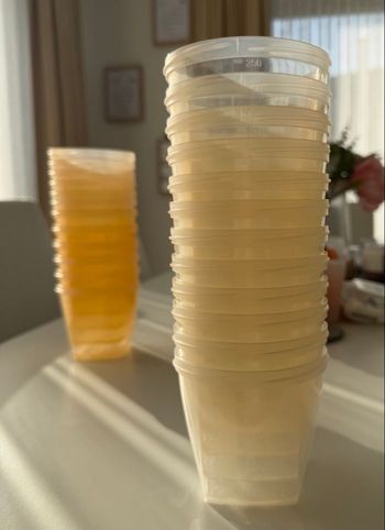 Lot de pots de conservation 