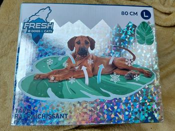 Tapis rafraîchissant pour chien