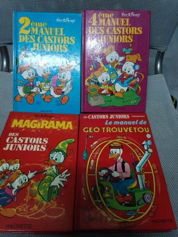 Lot livres castors juniors.