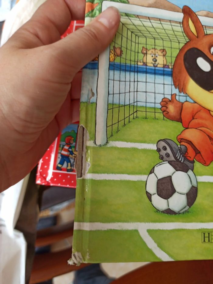 Livre Mini-Loup champion de foot - photo numéro 2