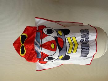 Cape de bain, serviette à capuche voiture