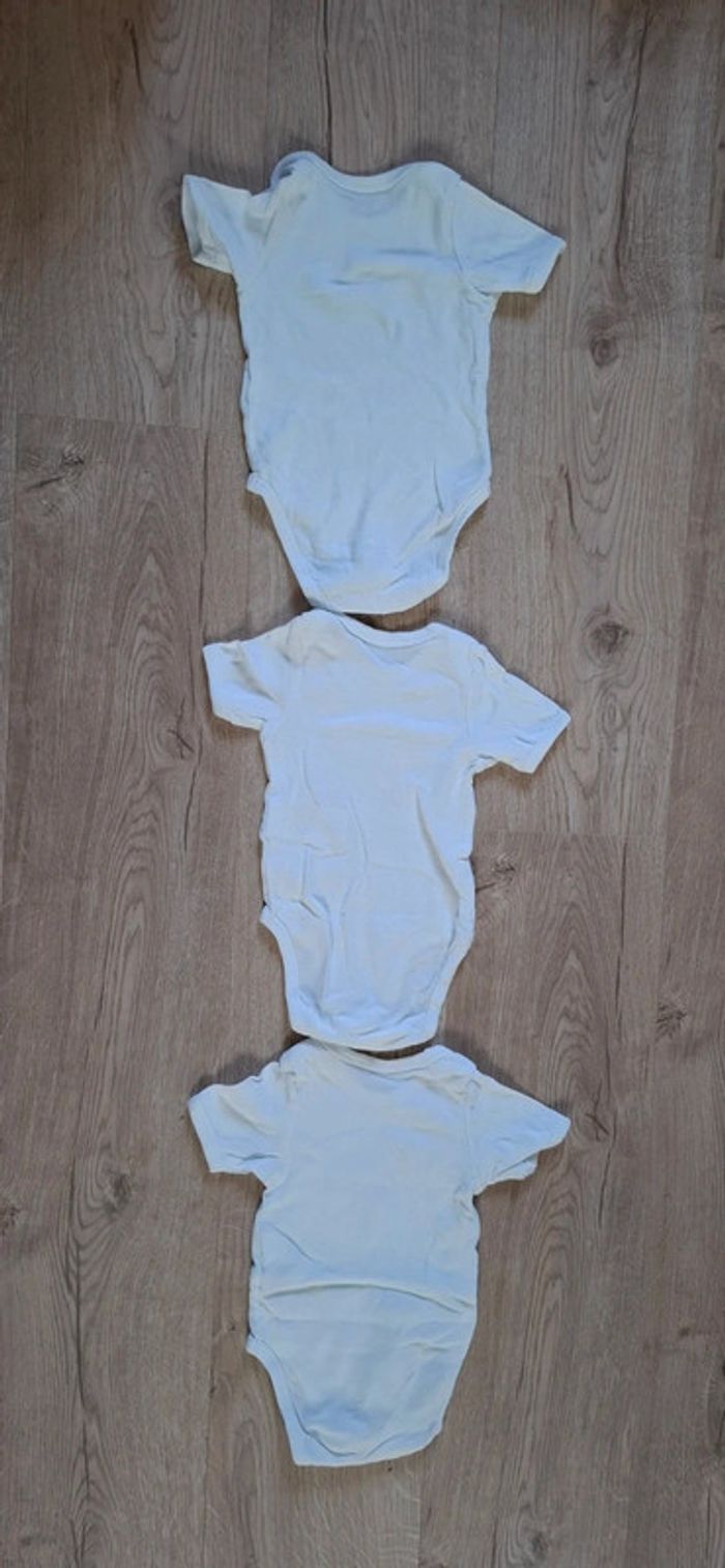 Lot 3 bodies MC 9mois TBE Vert Baudet - photo numéro 2
