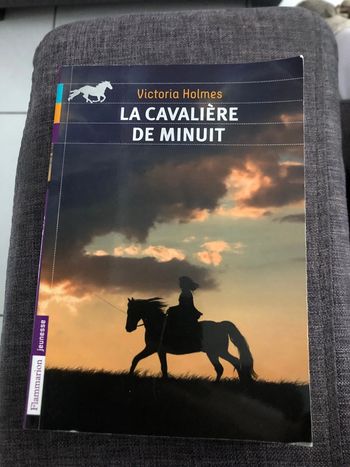 Livre la cavalière de minuit