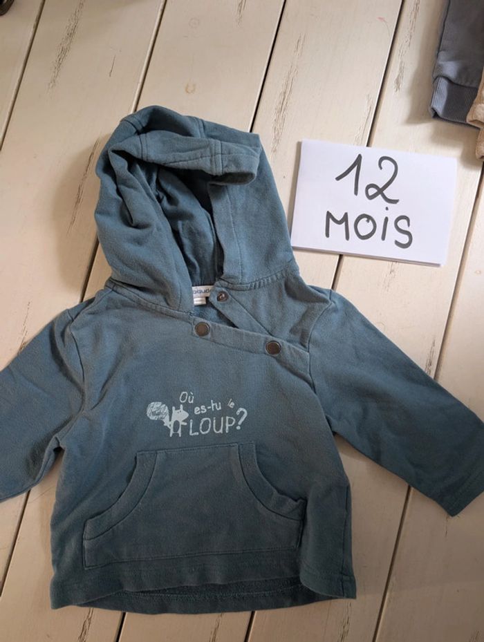 Pull a capuche bébé garçon 12 mois