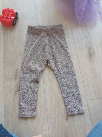 Legging 36m