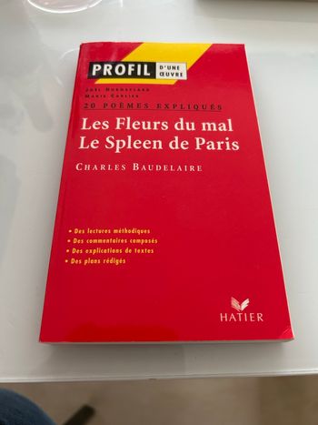 Livre profil d’une œuvre les fleurs du mal le spleen de Paris