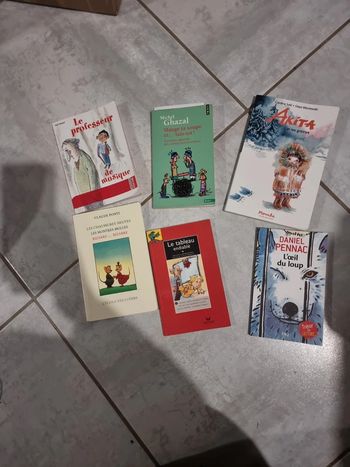 Lot 6 livres de poche #orianabllivre