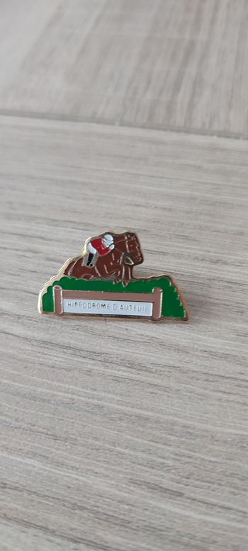 Pin's Hippodrome d'Auteuil 