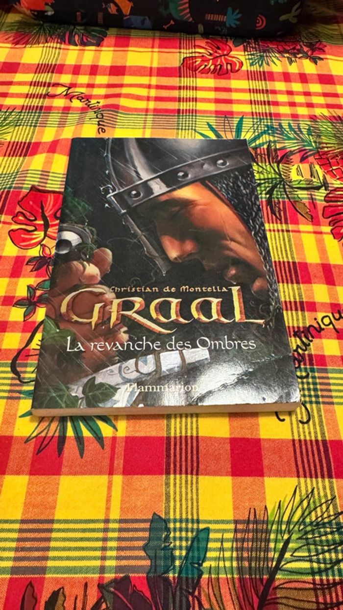 Graal – La revanche des Ombres – Christian de Montella (Flammarion)