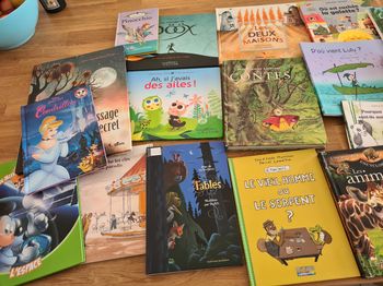 Lot de livre enfant 8 €