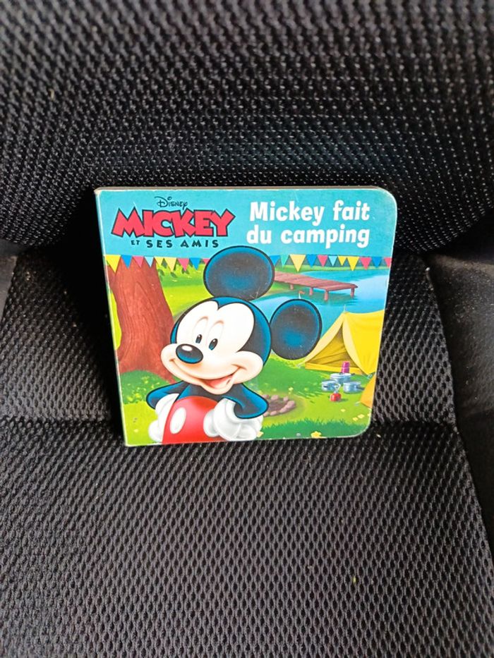 Livre mickey fait du camping
