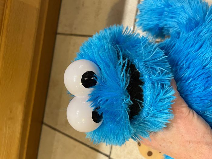 Peluche 2008 Cookie Monster Fisher Price - photo numéro 3