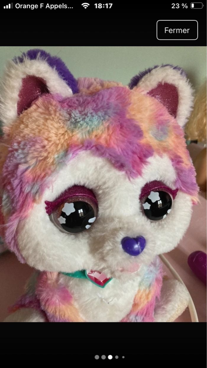 Chiot bobo - photo numéro 3