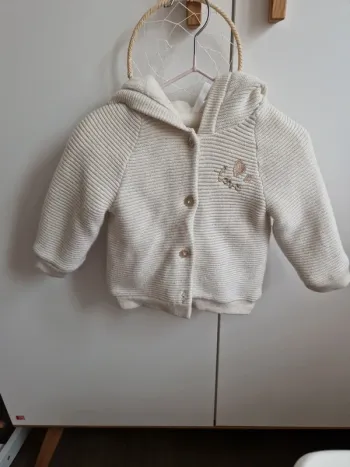 Gilet à capuche