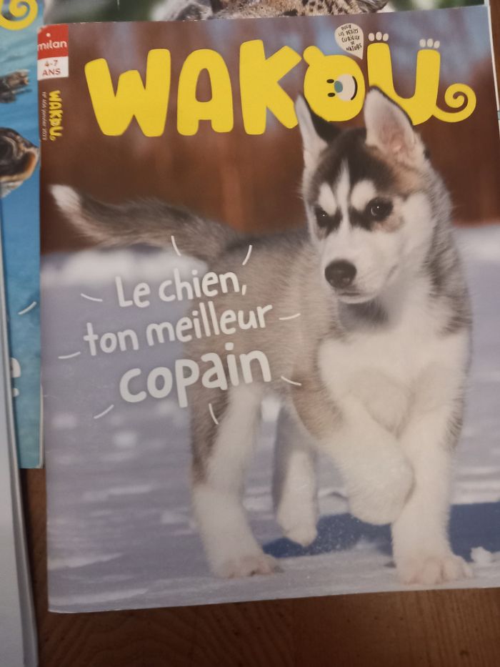 Lot 6 magazines Wakou - photo numéro 3