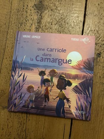 Livre une carriole dans la Camargue