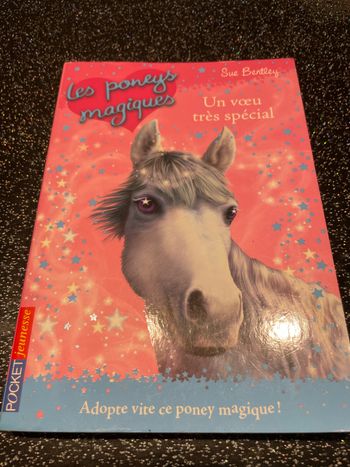 Les poneys magiques