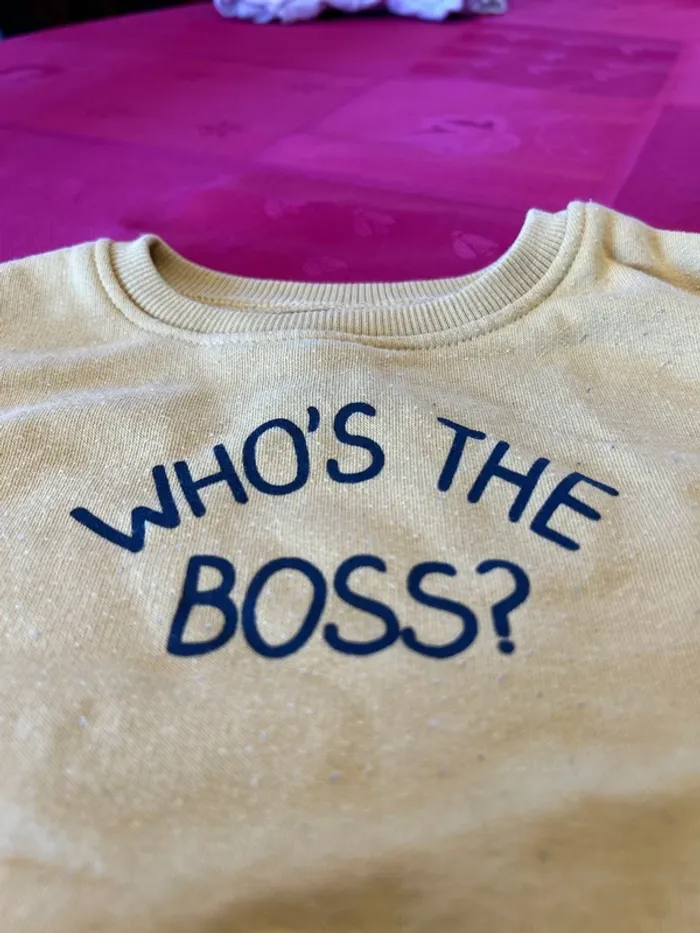 Sweat Orchestra bébé garçon - 9 mois - photo numéro 2