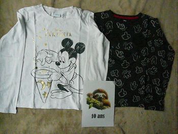 Lot de 2 tee-shirts garçon 10 ans (n°31)