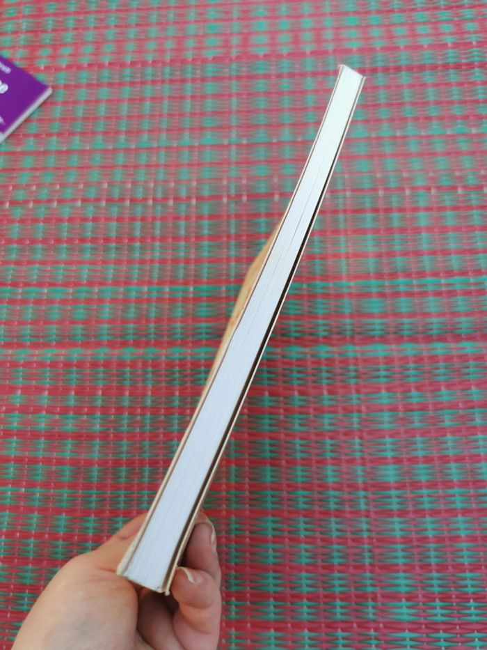 Délicieuses recettes avec la Machine à pain - photo numéro 5