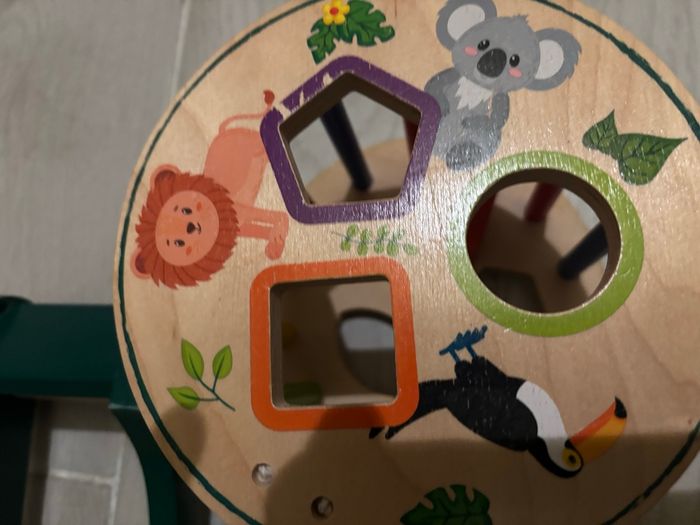 Tortue - photo numéro 2