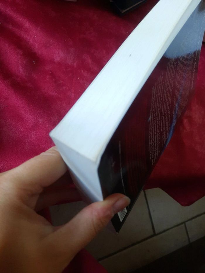 Livre féminisme et feminin - photo numéro 4