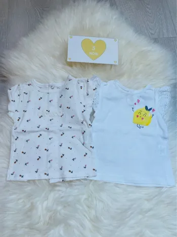 3 mois - lot 2 t-shirts MC