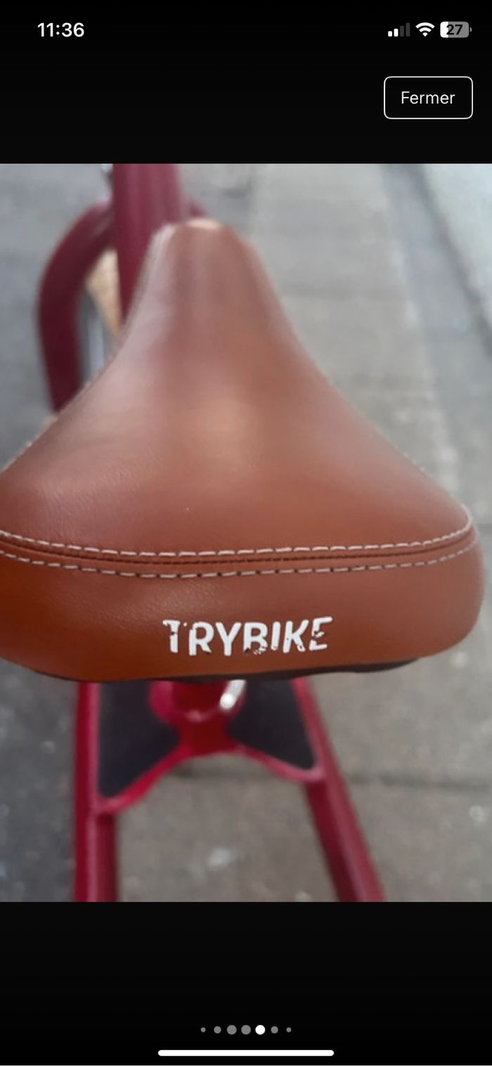 Trybike draisienne - photo numéro 6
