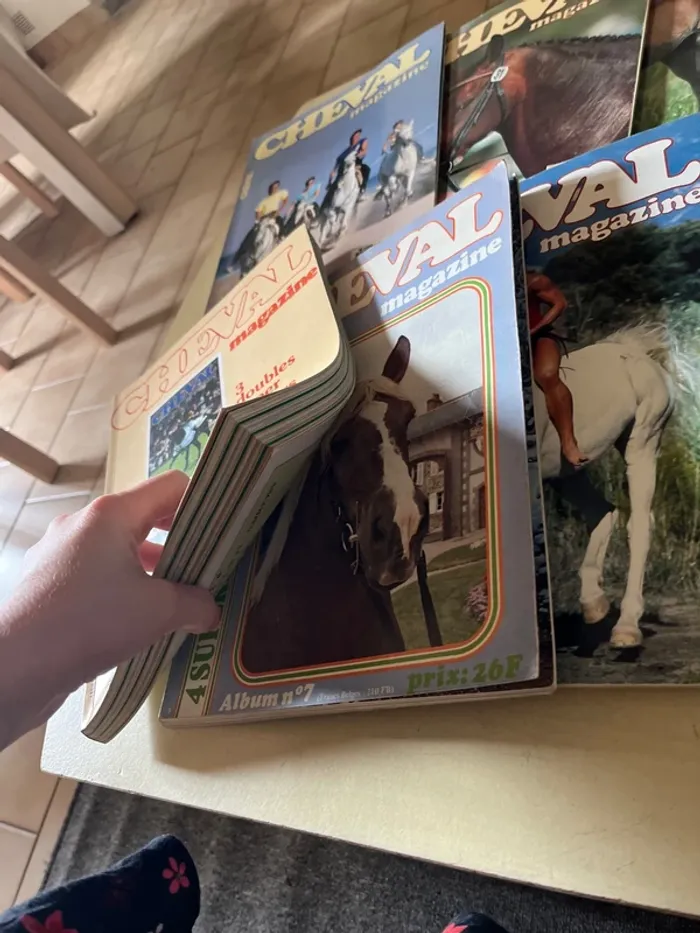 Lot de 10 anciens magazines sur les chevaux - photo numéro 5