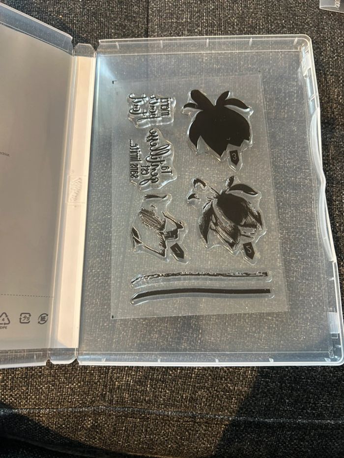 Tampons neufs tant de joie Stampin’up! - photo numéro 2