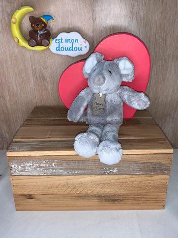 HD123 doudou souris 🐭 histoire d’ours