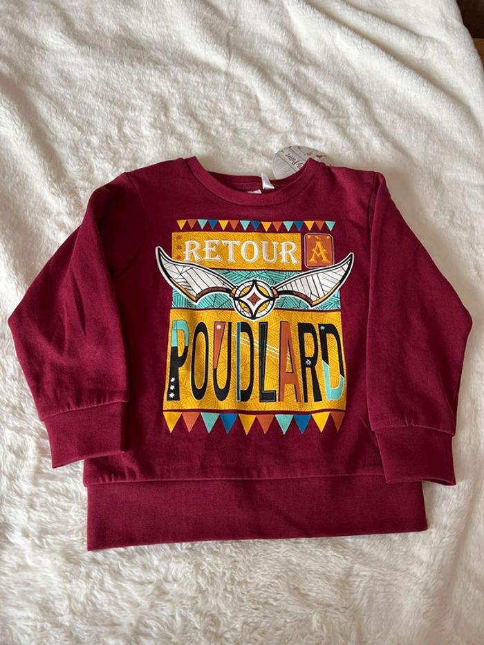 Sweat Harry Potter
