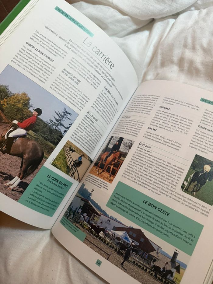 Livre poney/cheval - photo numéro 3