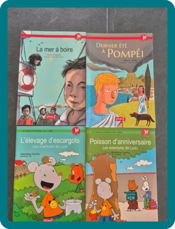Lot de 4 Livres Enfant de la collection " La Bibliothèque De Ludo"