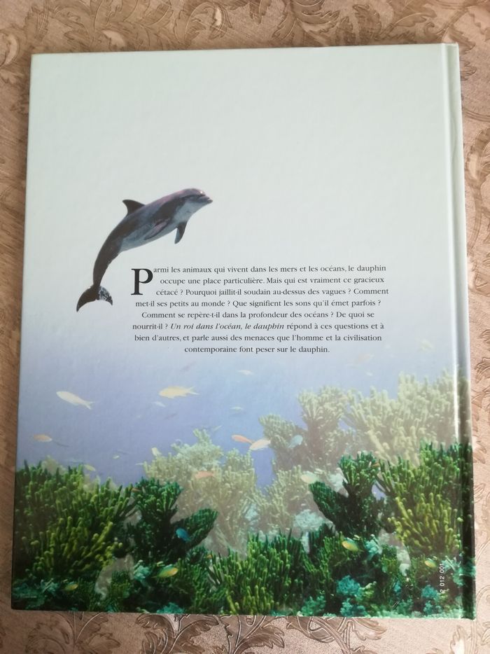 Un roi dans l'océan, le dauphin - photo numéro 2