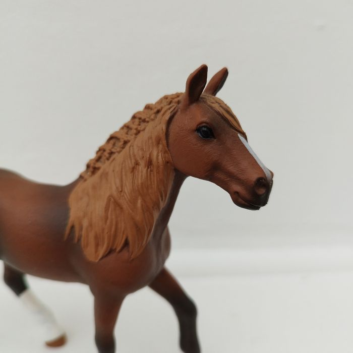 Jument paso péruvien - photo numéro 2