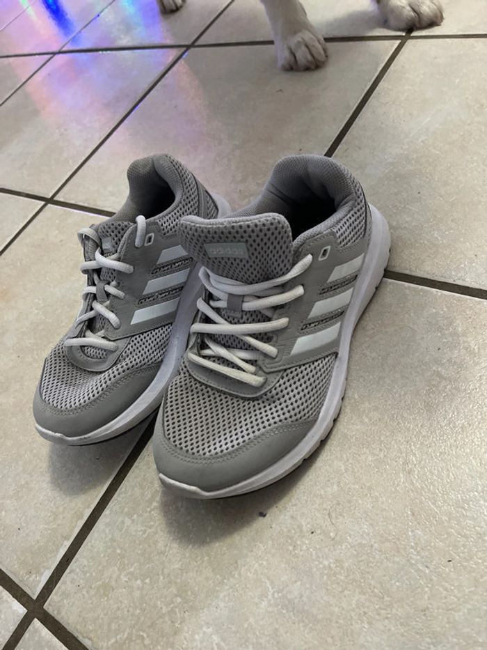 Paire de basket Adidas grise - photo numéro 3