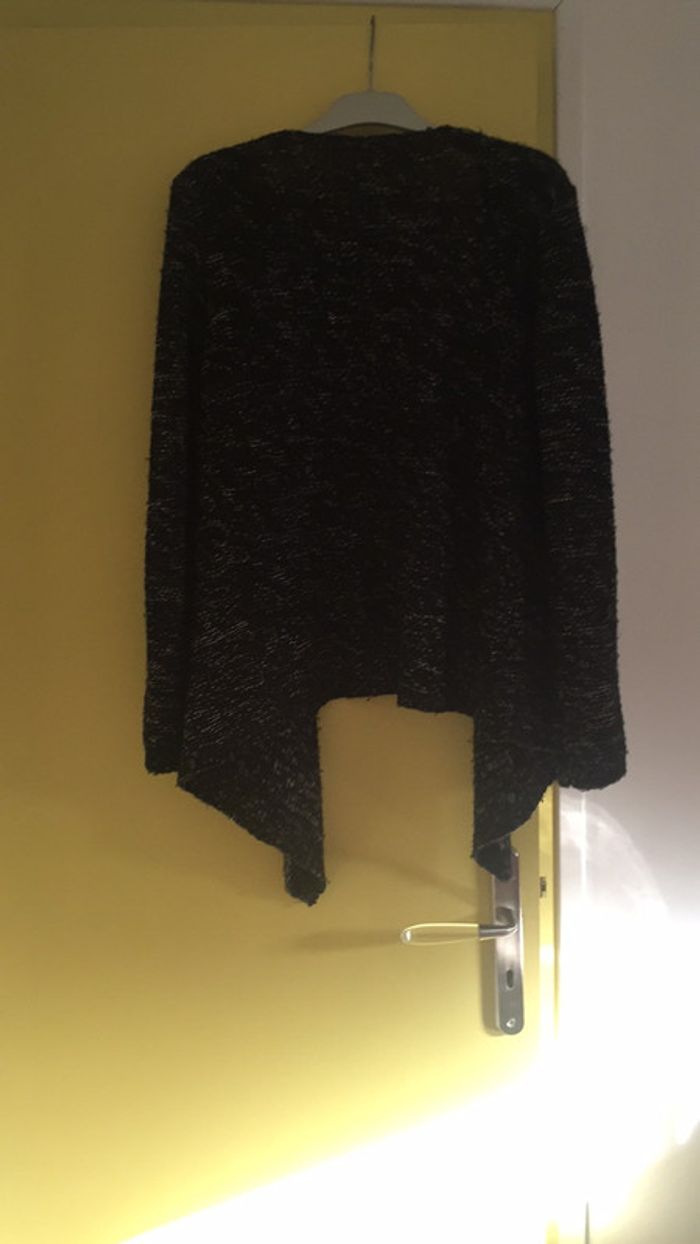 Gilet long - photo numéro 2