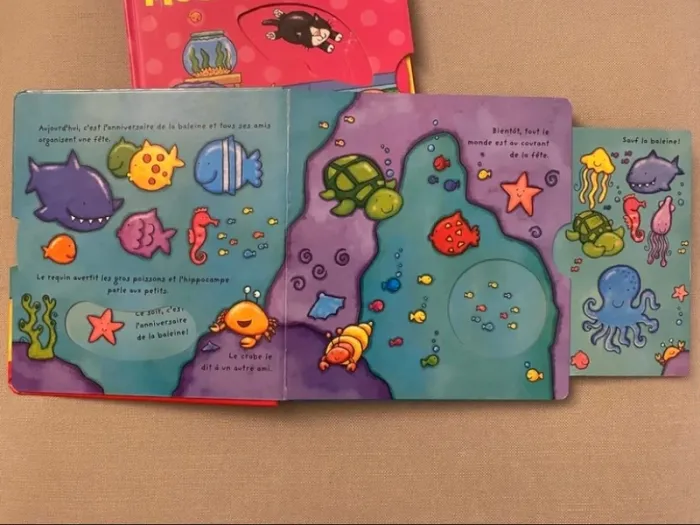 Livre pédagogique poisson animaux forme contraire nombre couleur tactile 2 ans anniversaire noel - photo numéro 2