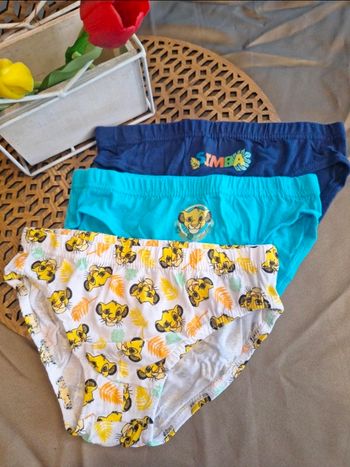 Lot de 3 slips garçon Disney Le Roi Lion – NEUFS – 122/128