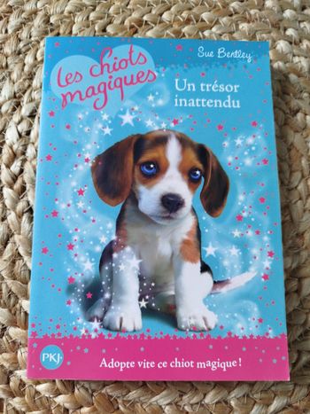 Livre enfant, Les chiots magiques, Un trésor inattendu, Sue Bentley, TBE
