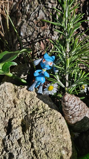 Super figurine Pokemon Nintendo riolu 