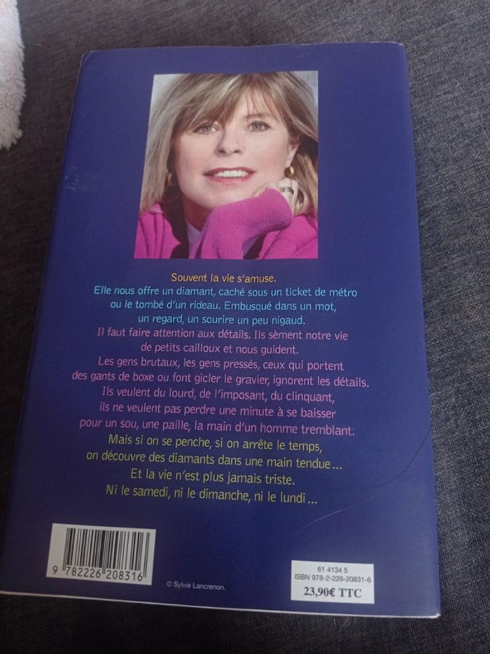 Livre les écureuils de central Park sont tristes le lundi - photo numéro 2