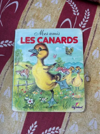 Mes amis les canards
