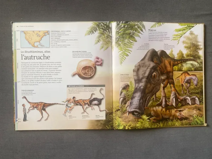 Les dinosaures à loupe Larousse - photo numéro 3