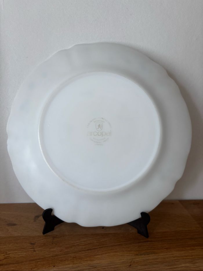 Vintage lot de 5 assiettes plates Arcopal véronica myosotis - photo numéro 3