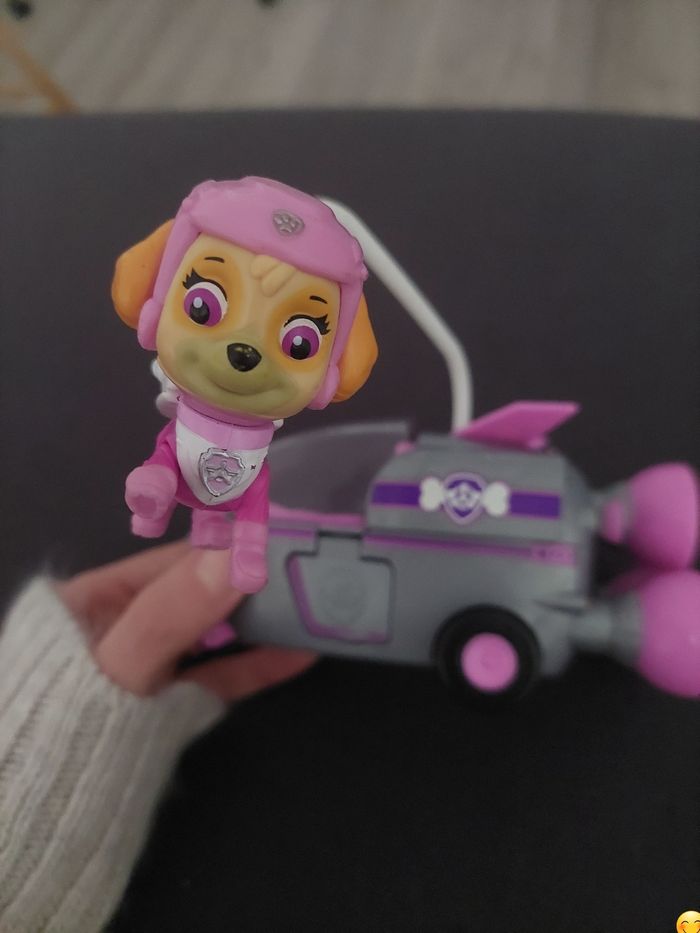 Stella pat patrouille - photo numéro 2